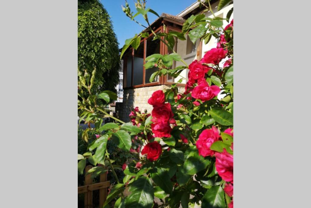 Maison très beau jardin 10 mn a pied centre ville Bayeux proche plages du débarquement Extérieur photo