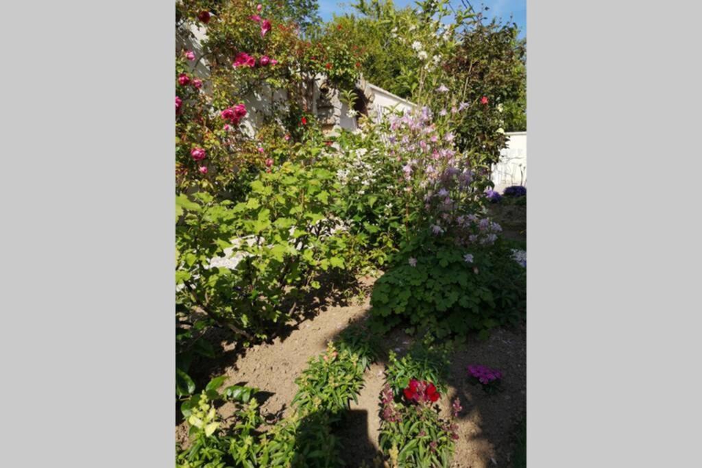 Maison très beau jardin 10 mn a pied centre ville Bayeux proche plages du débarquement Extérieur photo