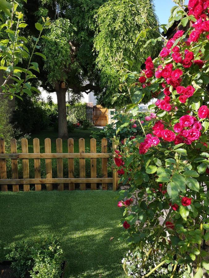 Maison très beau jardin 10 mn a pied centre ville Bayeux proche plages du débarquement Extérieur photo