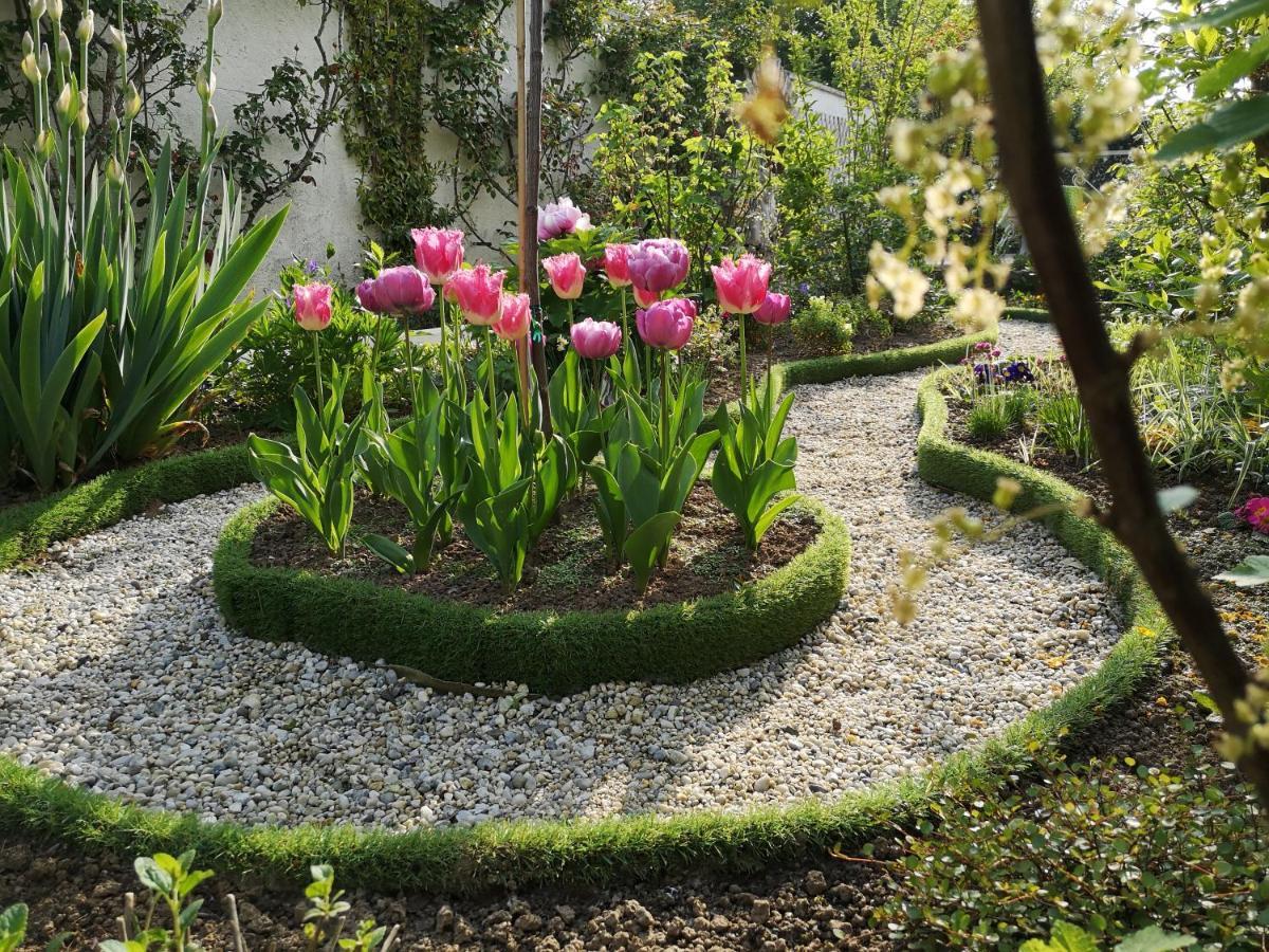 Maison très beau jardin 10 mn a pied centre ville Bayeux proche plages du débarquement Extérieur photo